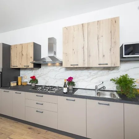 Fenice שיקלי